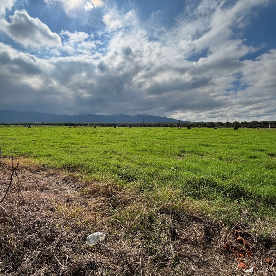 VENTA TERRENO - COUNTRY ALTO VERDE 4