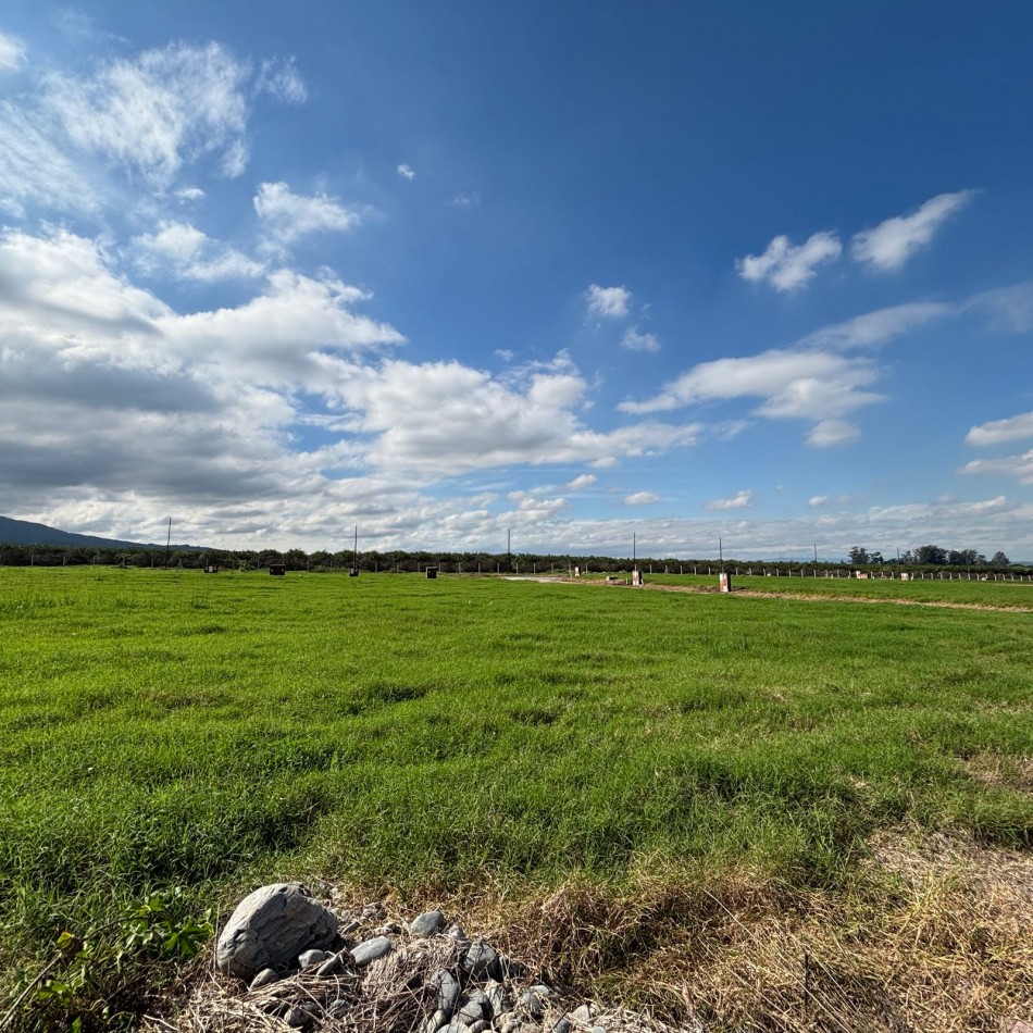 VENTA TERRENO - COUNTRY ALTO VERDE 4